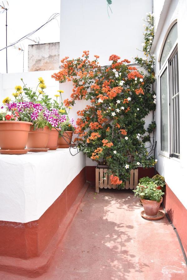 Veedor 12 Lägenhet Cádiz Exteriör bild